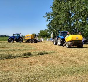 IMG_20180608_115321_HDR