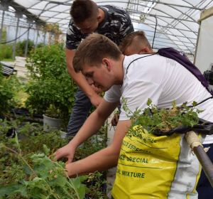 42058512_324822181624051_7330274375469367296_n