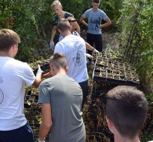 42114311_324822358290700_5688212561783160832_n