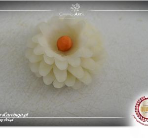 Kurs_carvingu_Czyew68