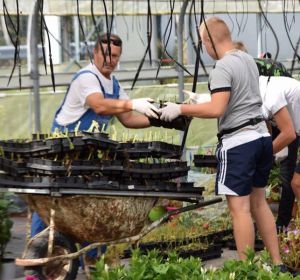 42045125_324822318290704_8474985019297759232_n