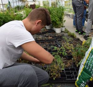 42095877_324822271624042_4142538636082020352_n