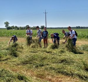 IMG_20180608_120746_HDR