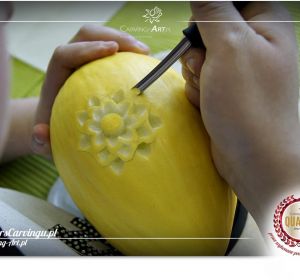 Kurs_carvingu_Czyew95