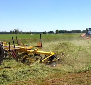 IMG_20180608_121343_HDR