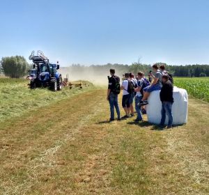 IMG_20180608_121330_HDR