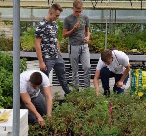 42213375_324822191624050_2101088045469007872_n