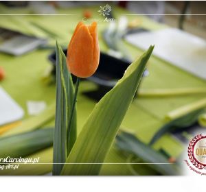 Kurs_carvingu_Czyew42