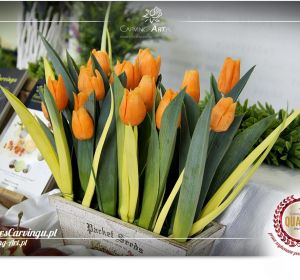 Kurs_carvingu_Czyew43